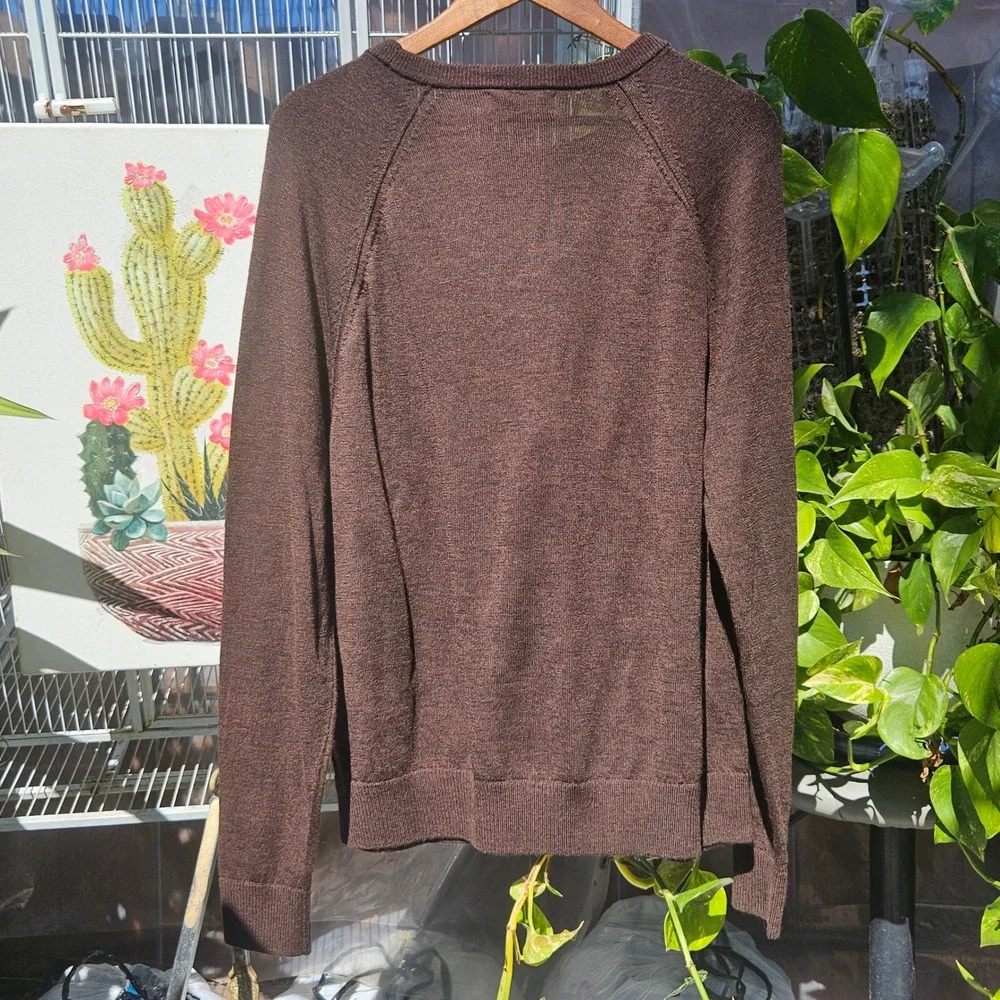 Banana Republic Mens XL Merino Wool‎ Sweater Dark Brown Raglan Crewneck Knit